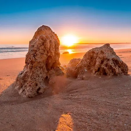 Διαμέρισμα Welcoming 55 Sqm In With Garden View